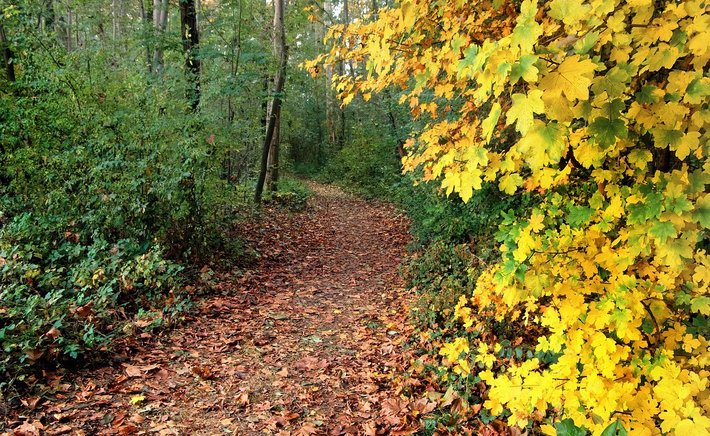 Journaling the Seasons: A Year-Long Practice That Changes How You See