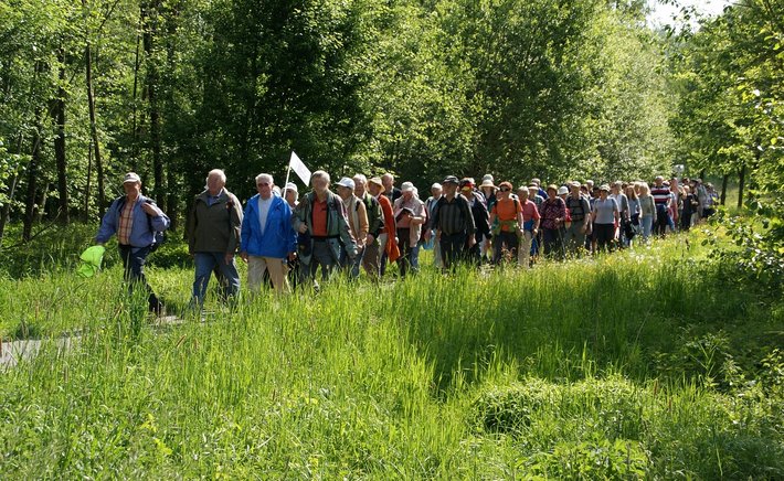 The Art of the Slow Walk: Covering Less Ground, Seeing More